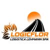 logicflor-1-768x768